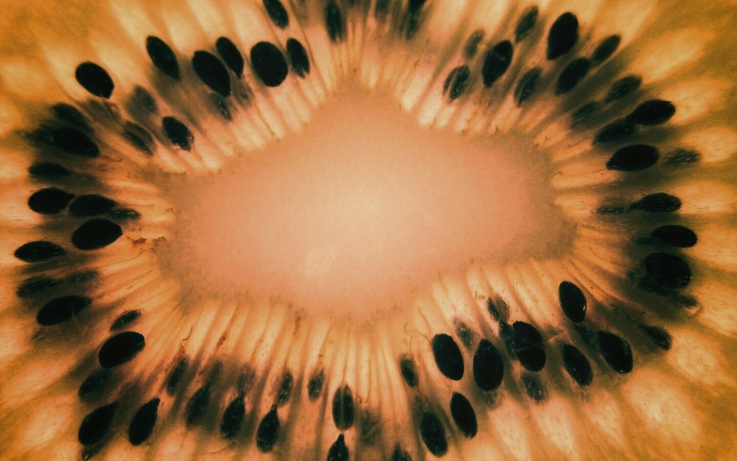 Макро фото киви в разрезе обои