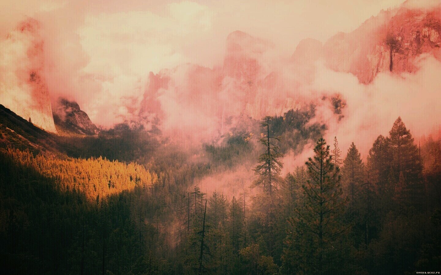 Туман в горах обои