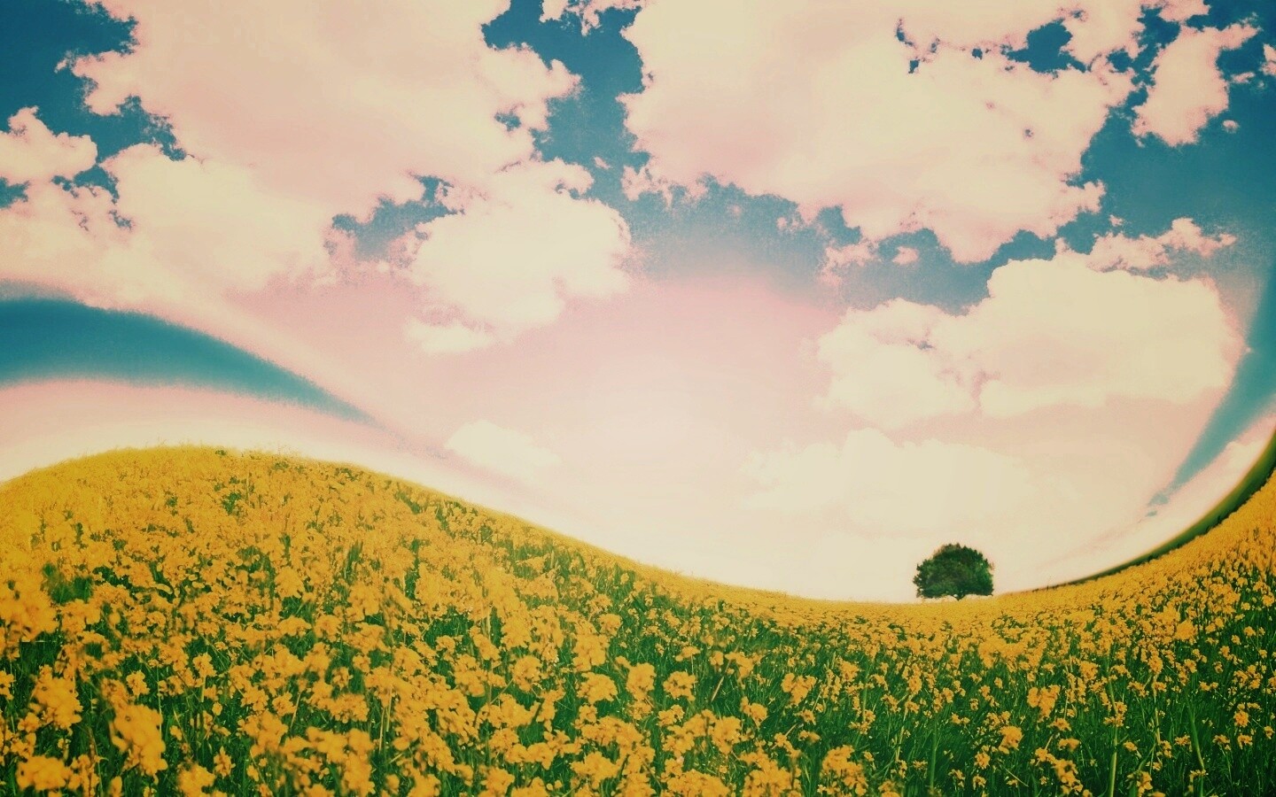 Искаженный мир обои