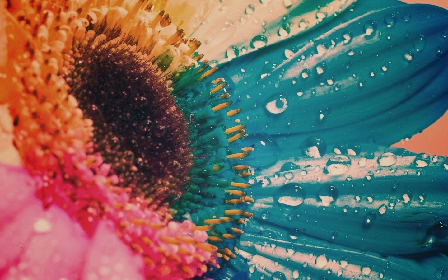 Цветик семицветик обои