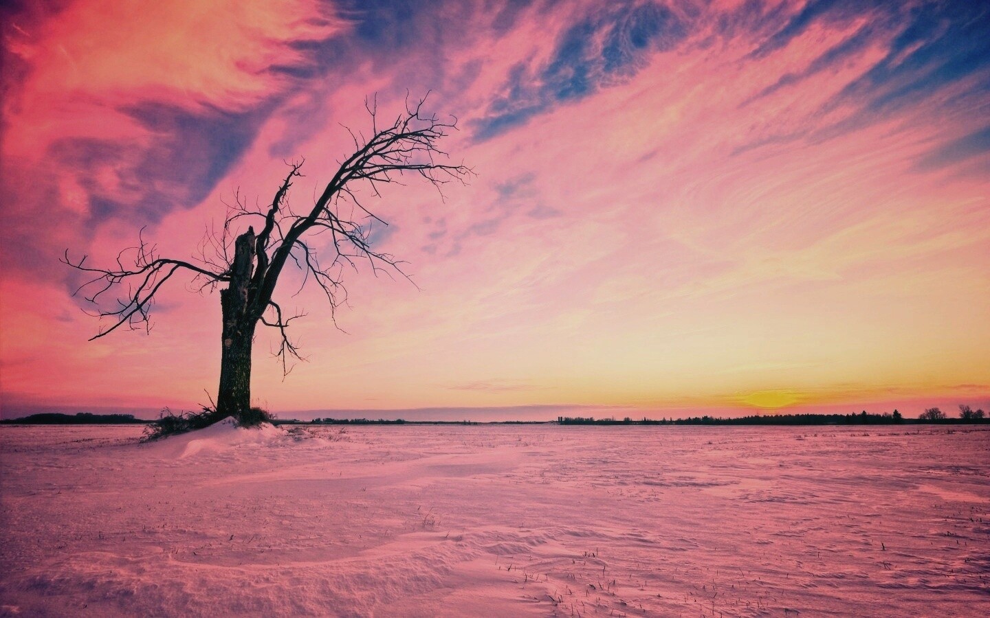 Сломанное дерево в снежной тундре обои