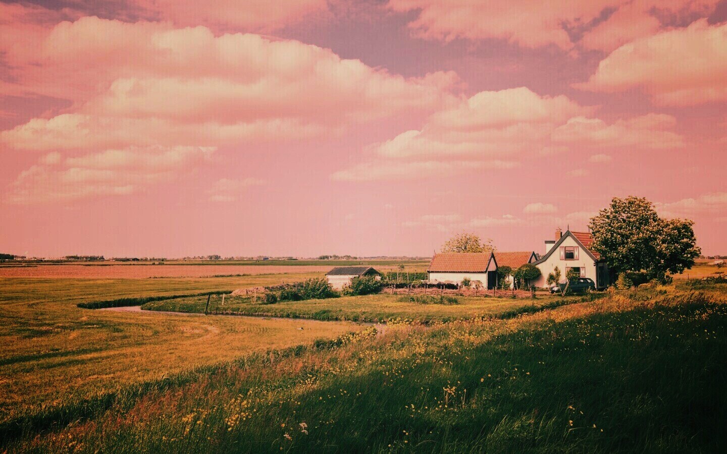 дом на лугу обои