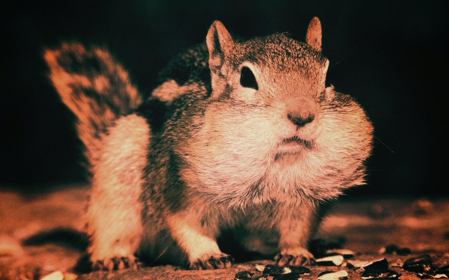 Не жадный, а бережливый обои