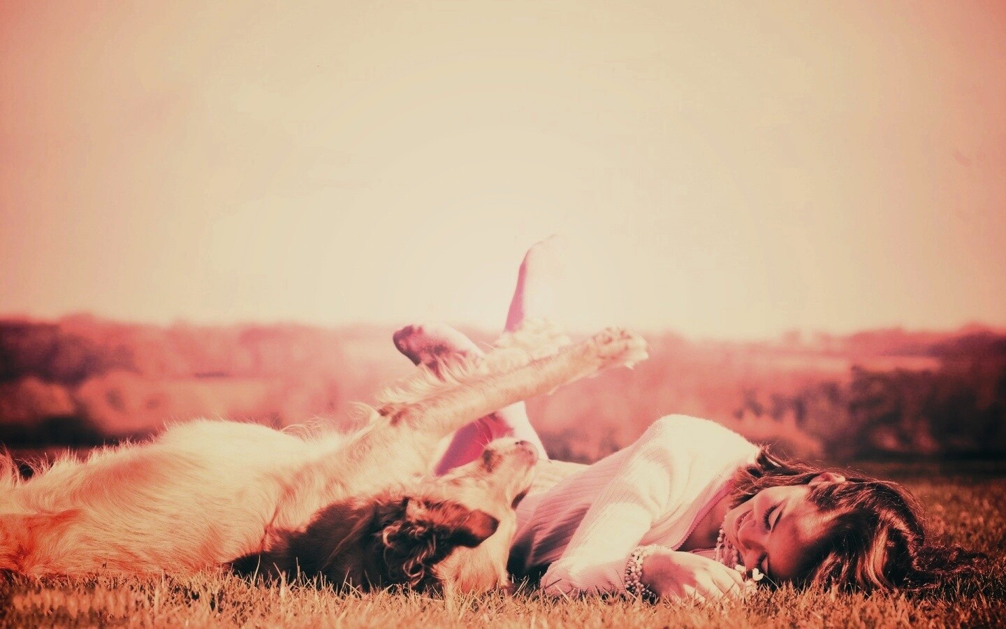 Девушка и собака валяются на траве обои