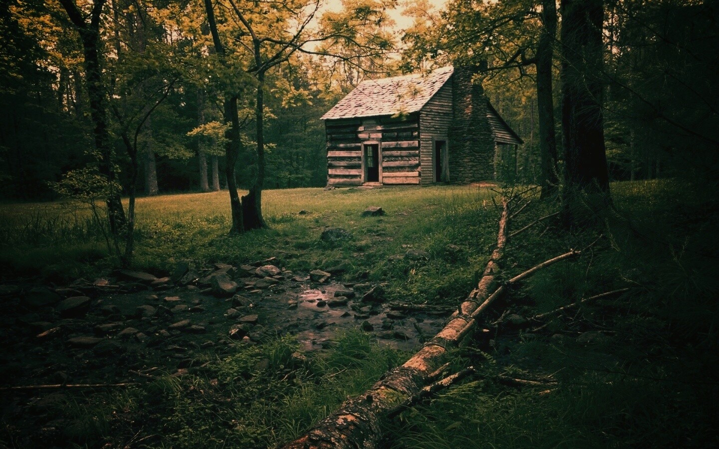Домик в лесу обои