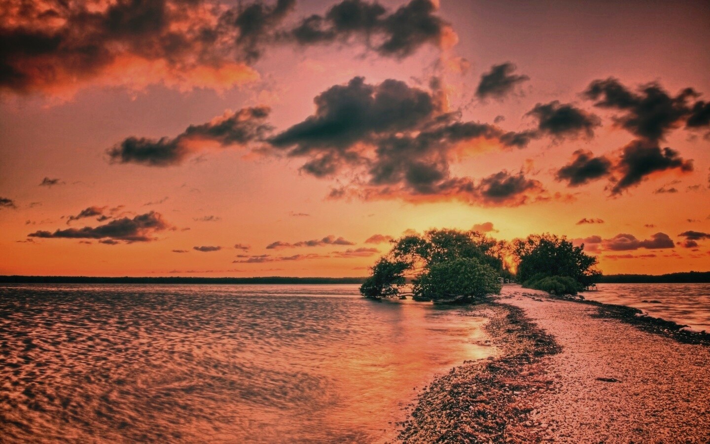 Побережье на закате обои