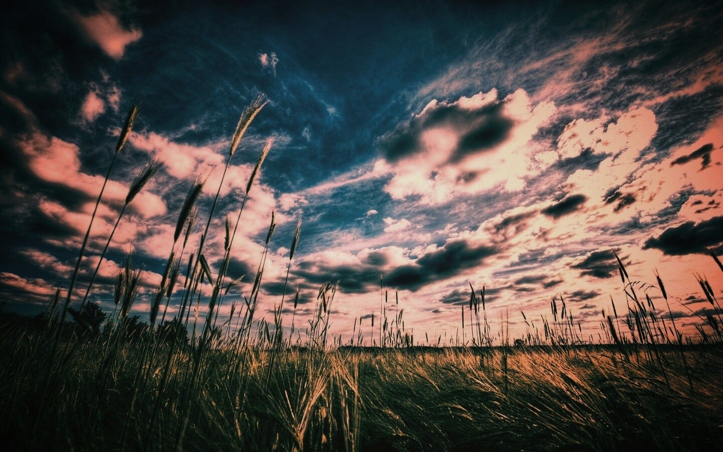 HDR Поле обои