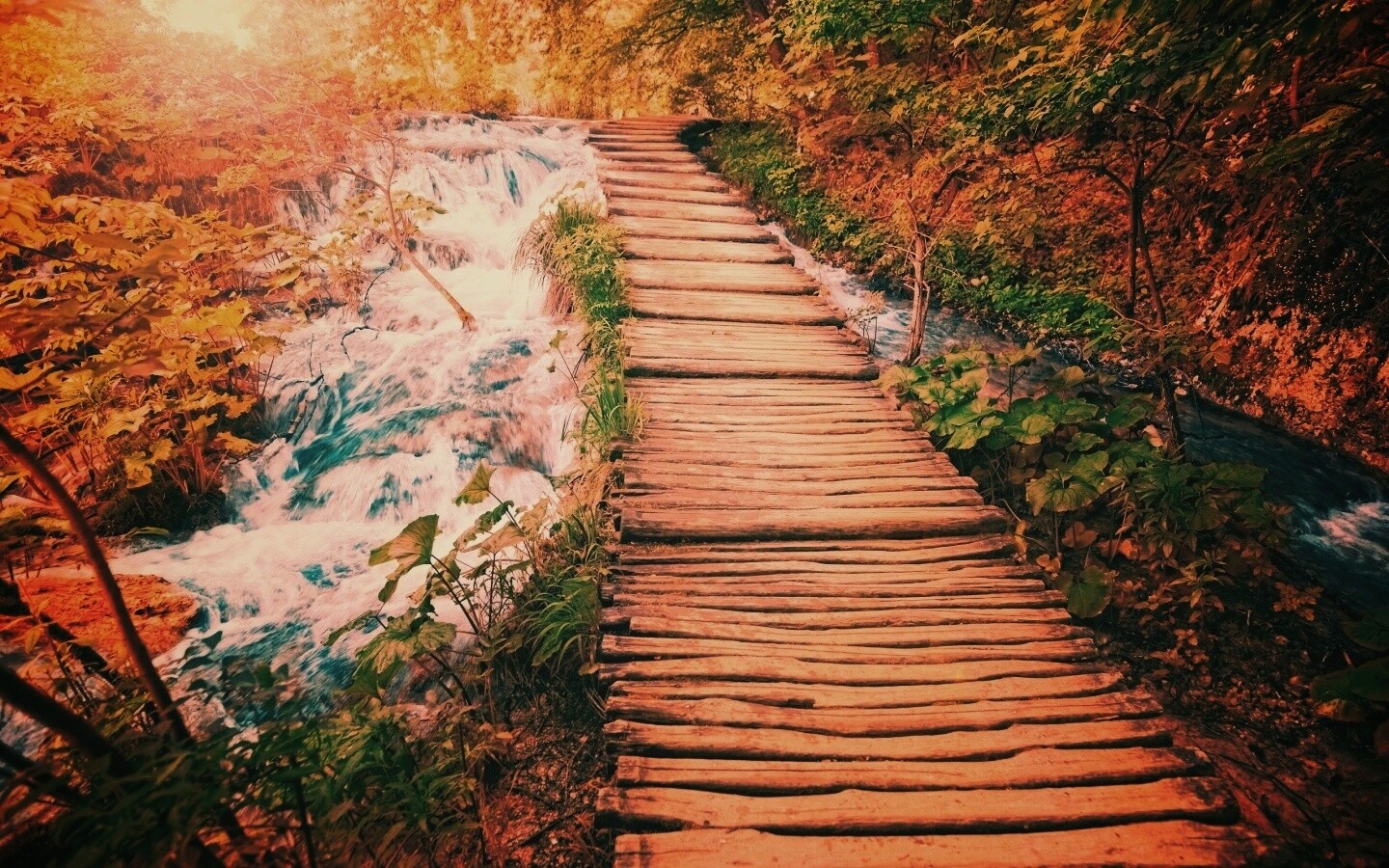 Деревянная дорожка над ручьем обои