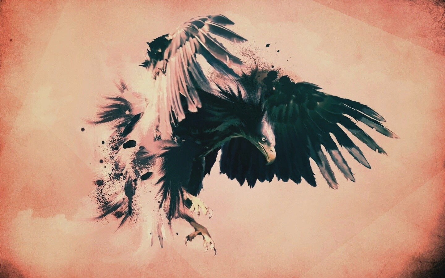 Скетч с орлом обои