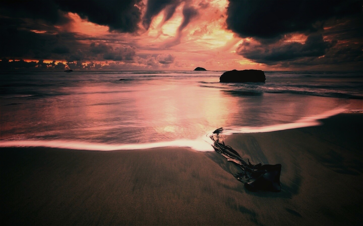 Коряга на пляже обои