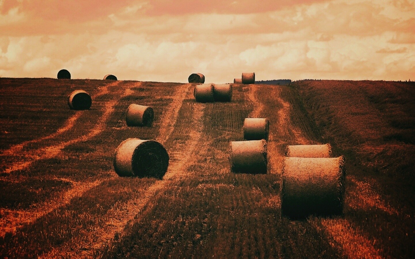 Уборка сена с поля обои