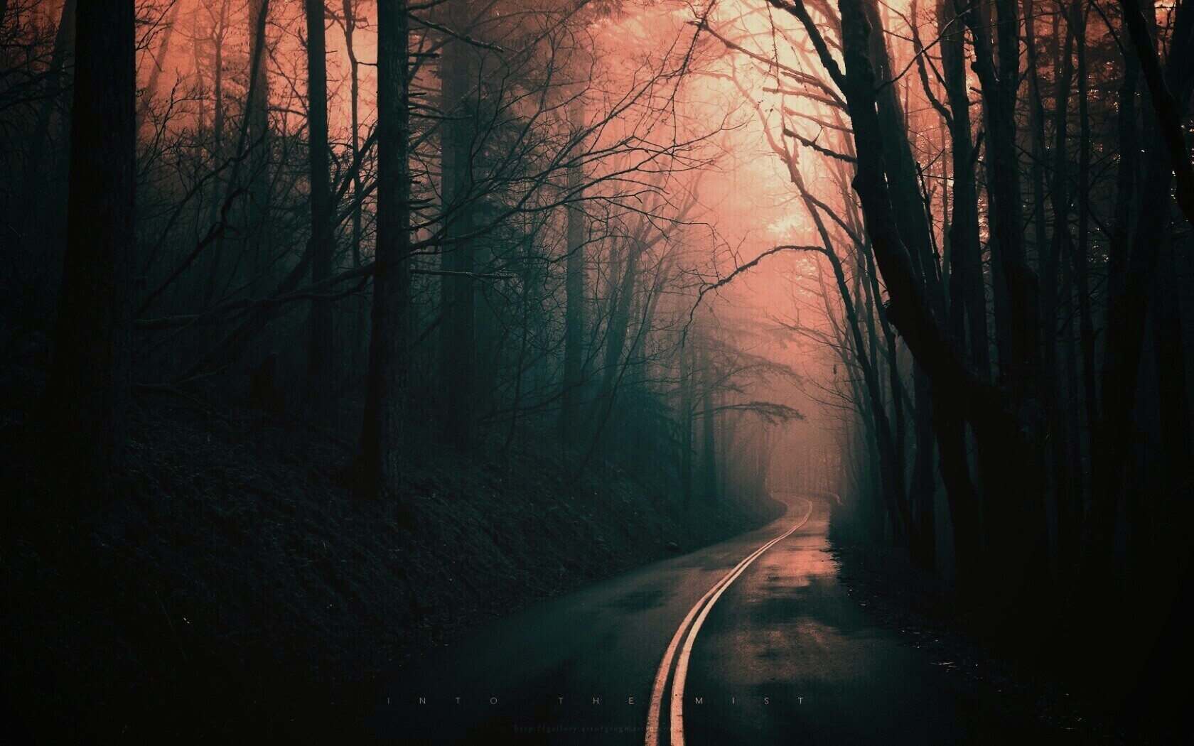 В туман обои