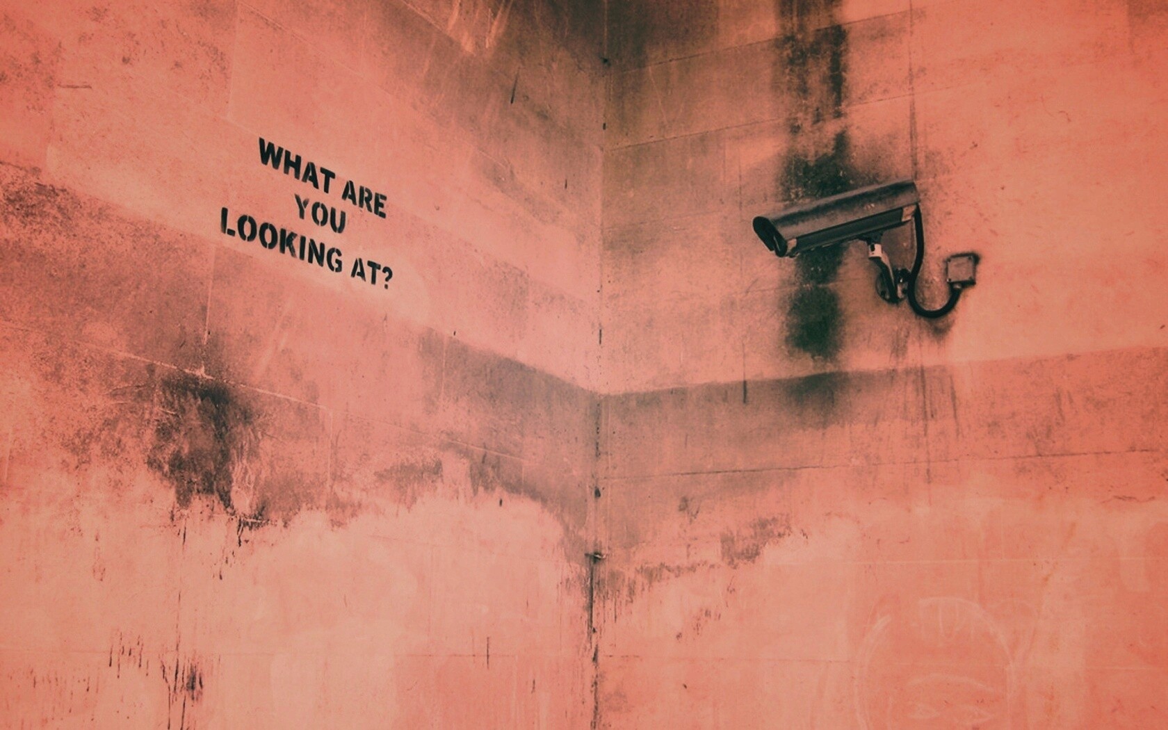 На что ты смотришь? обои