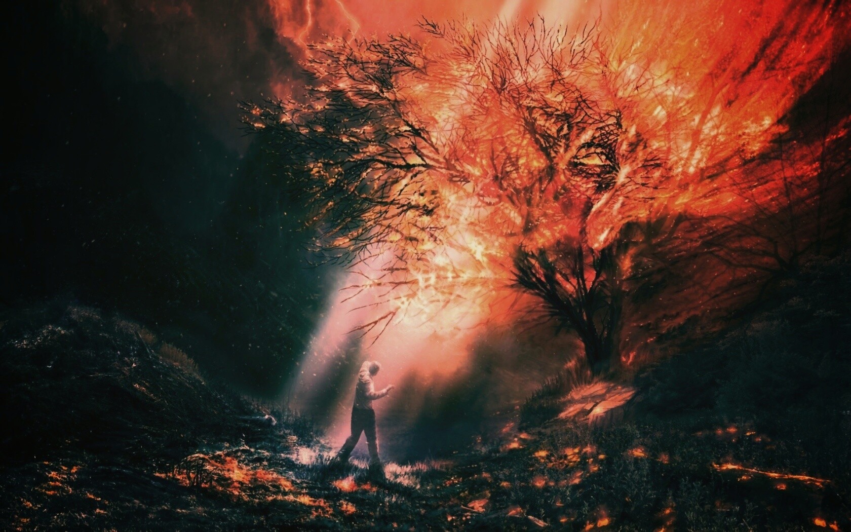 Горящее дерево обои