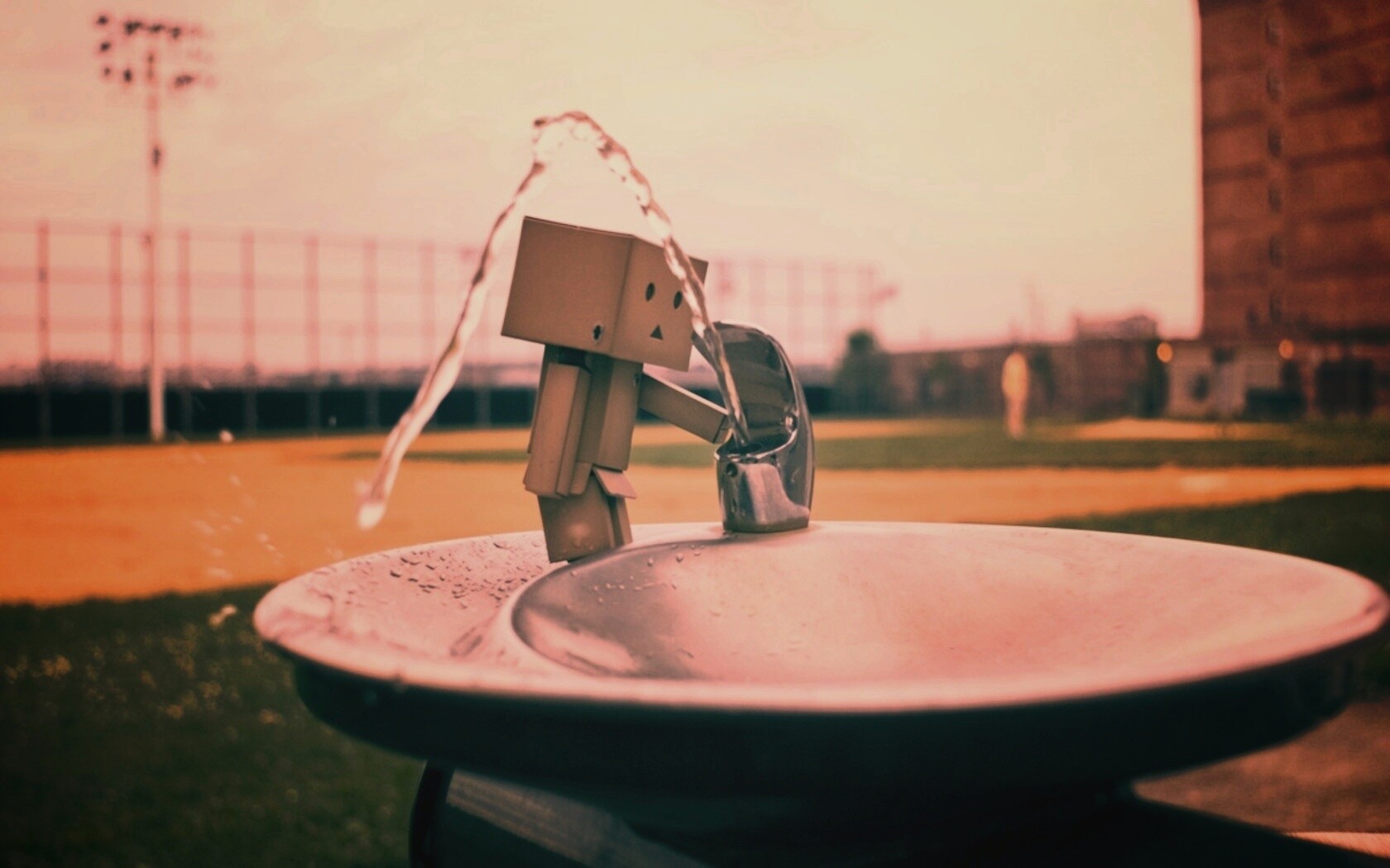 Дандо пьет в воду из фонтанчика обои