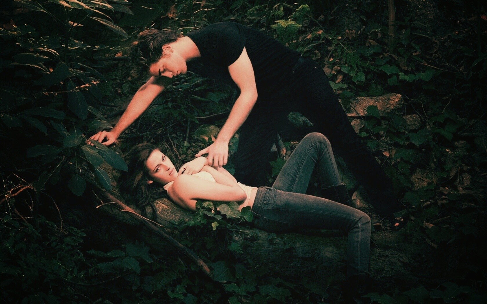 Эдвард и Белла в лесу обои