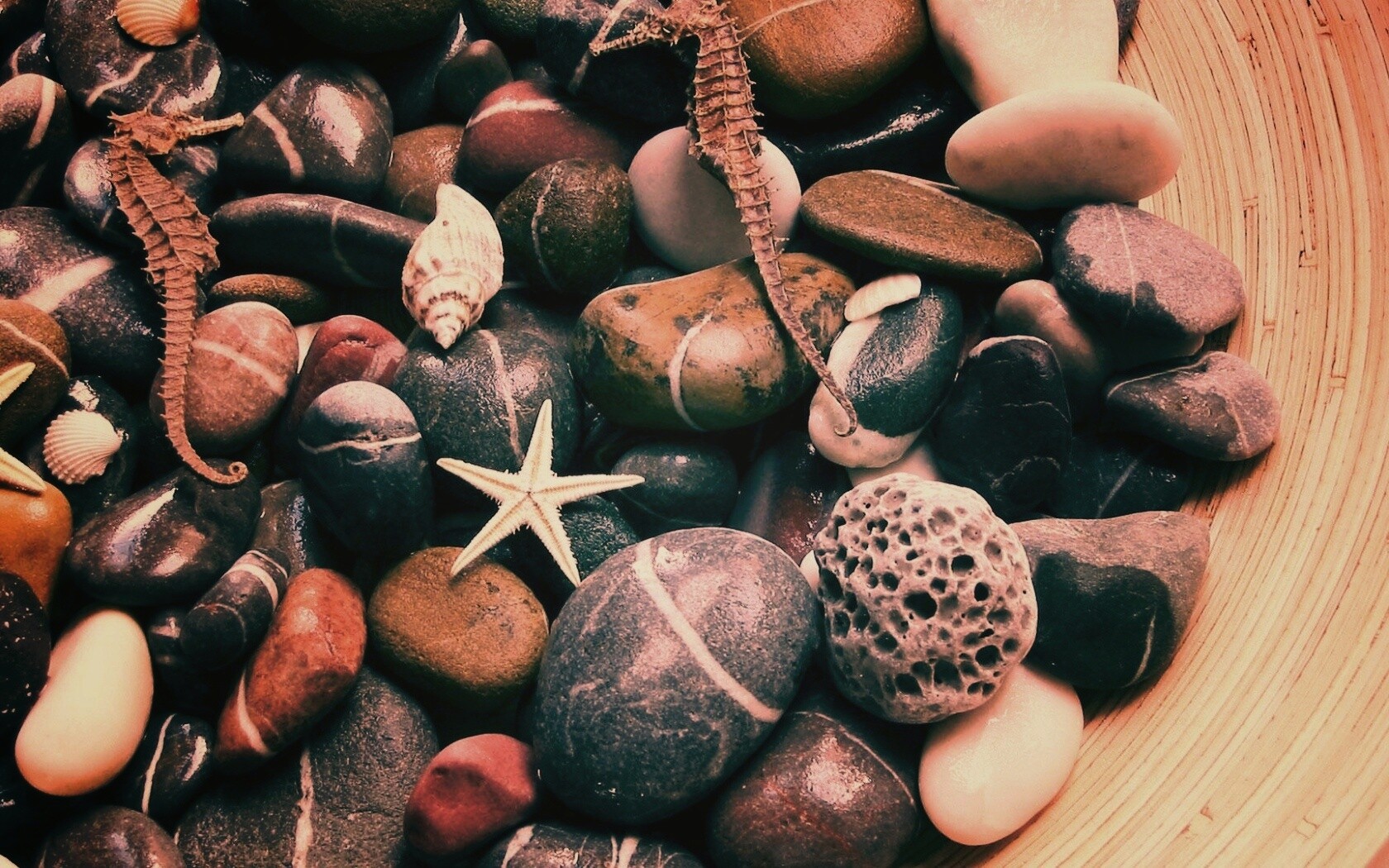 Морские камешки и фауна обои