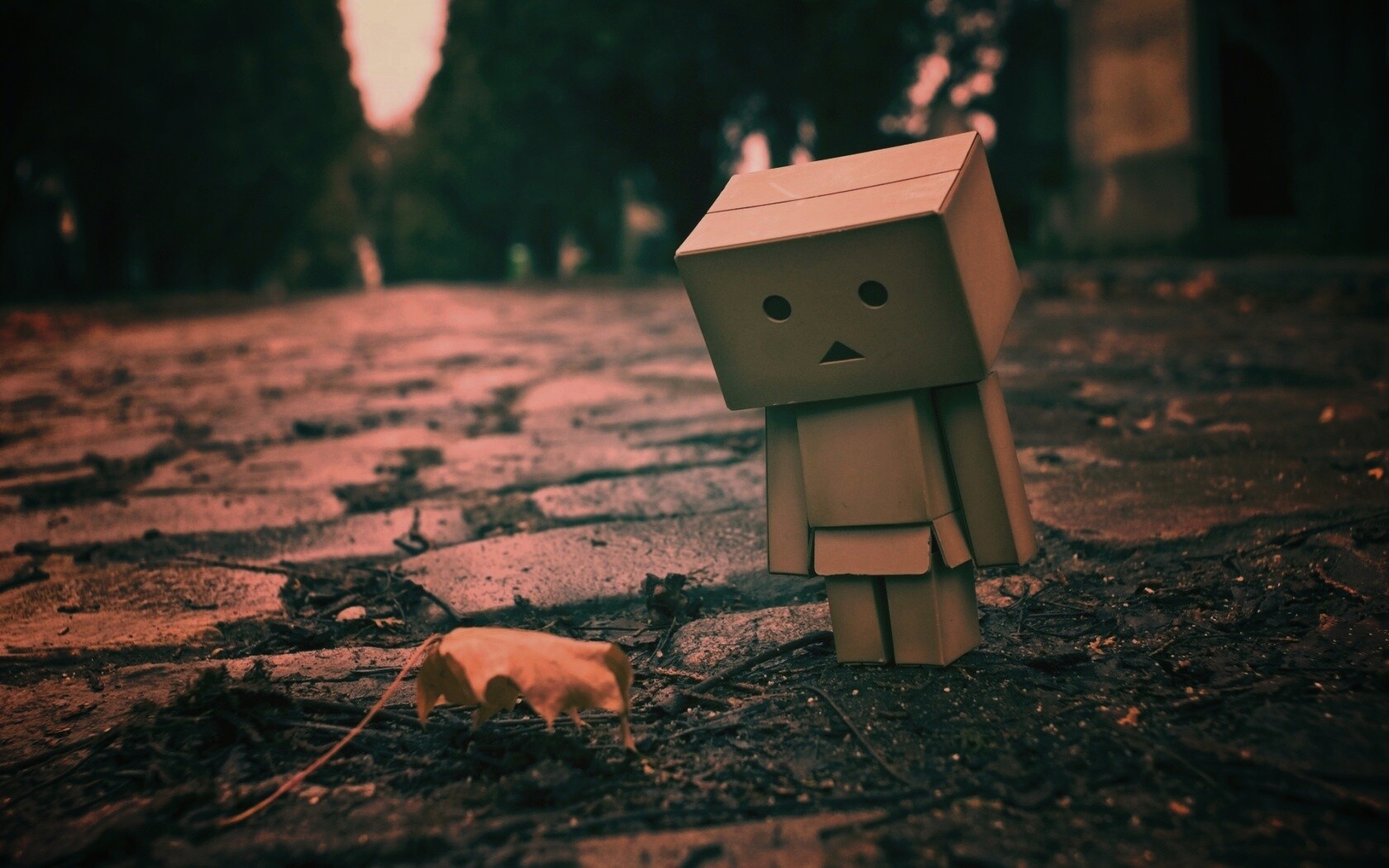 Danbo и первый осенний лист обои