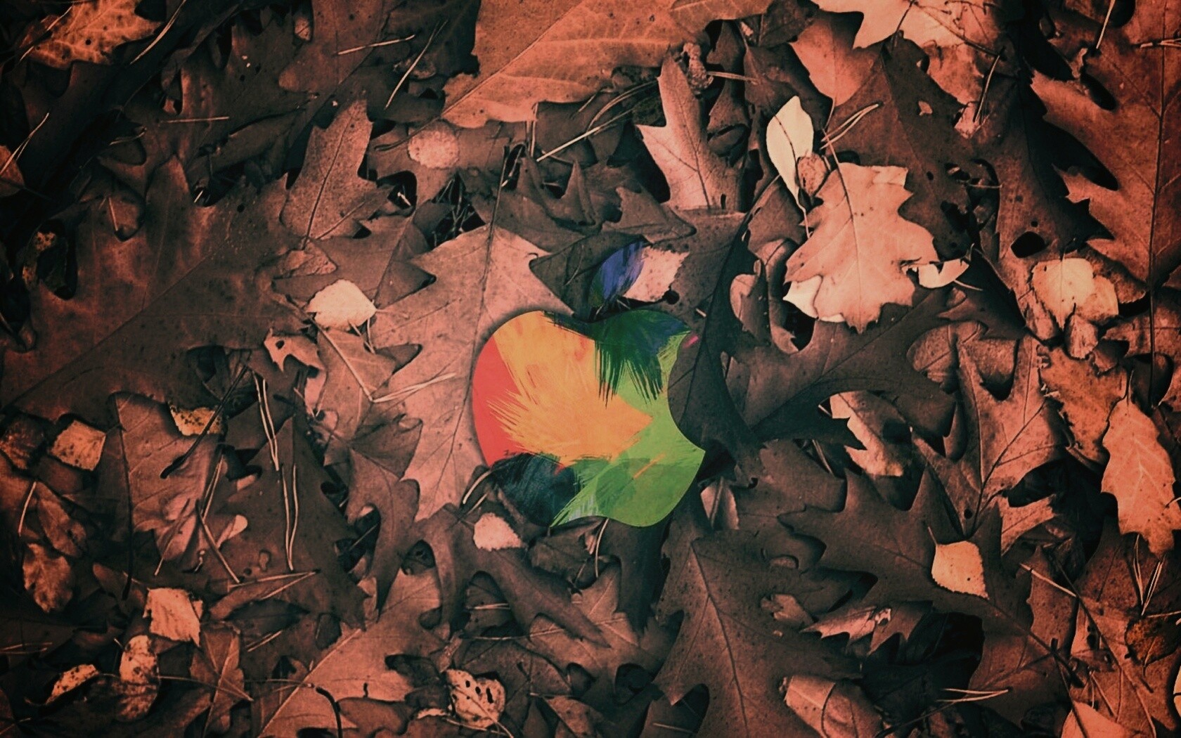 Эпл в сухой листве обои