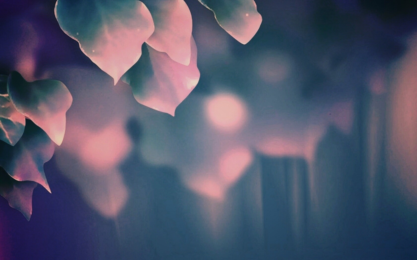 Синие листья обои