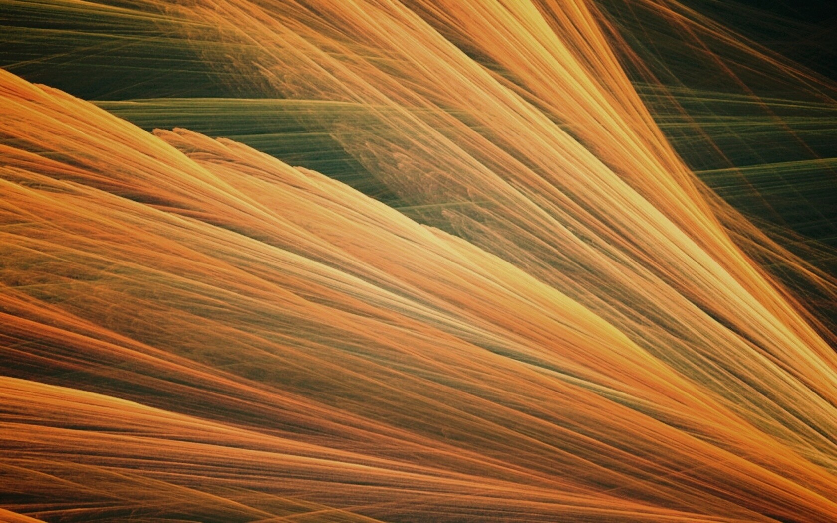 Прозрачные зеленоватые крылья обои