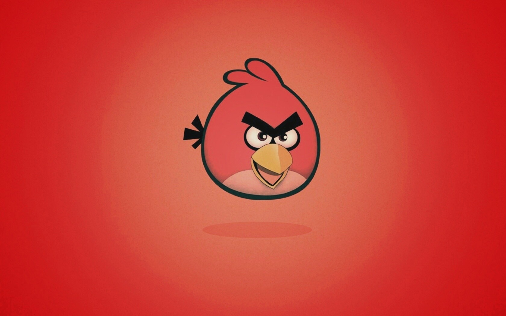 Красная птица из Angry Birds обои