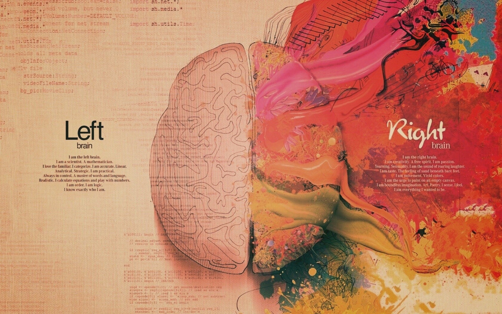 Различия левого и правого полушария обои