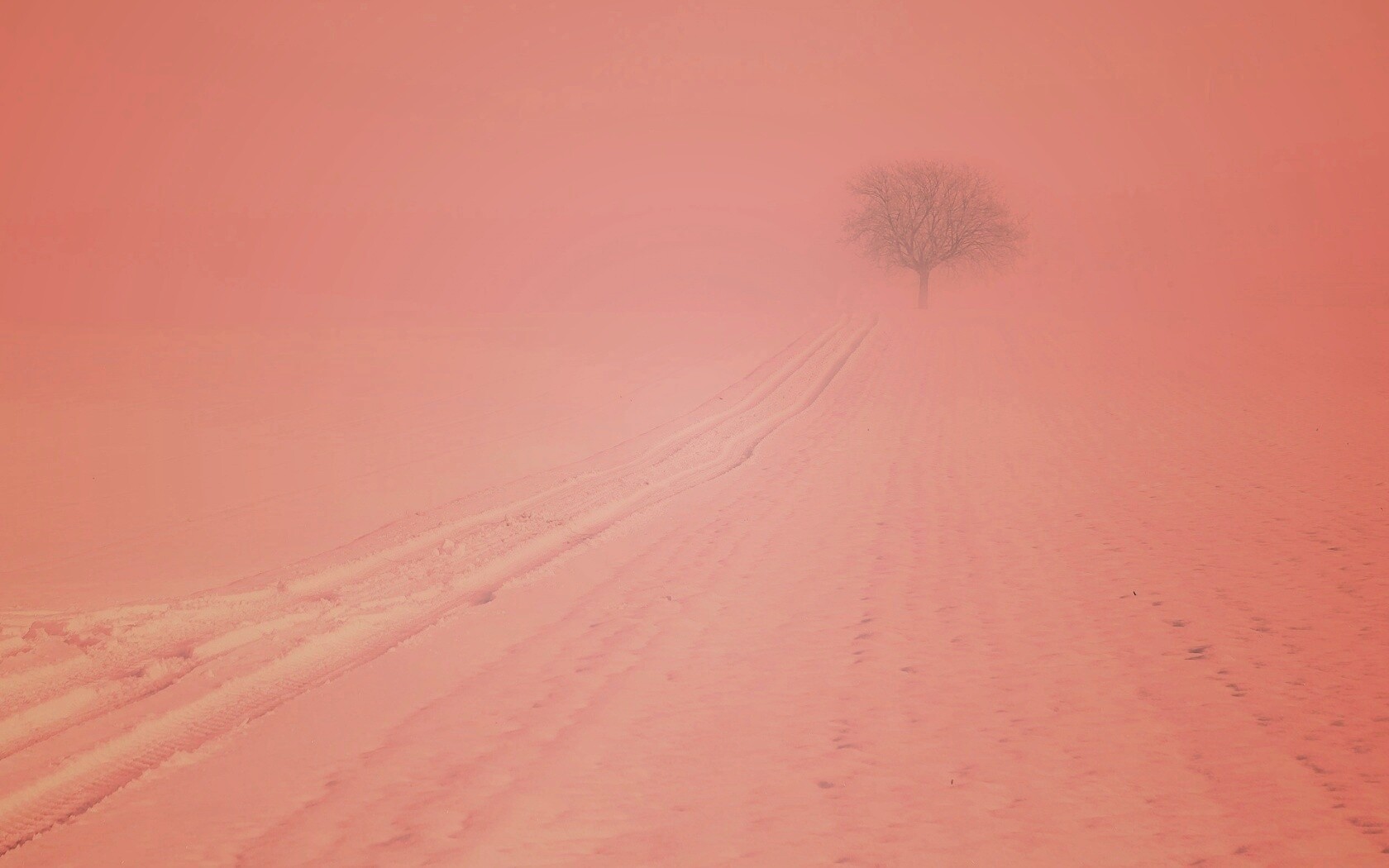 Заснеженное поле обои