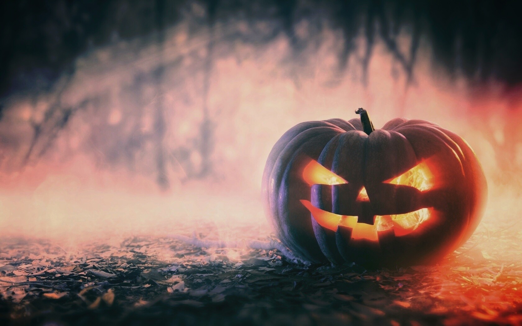 Хэллоуинская тыква обои