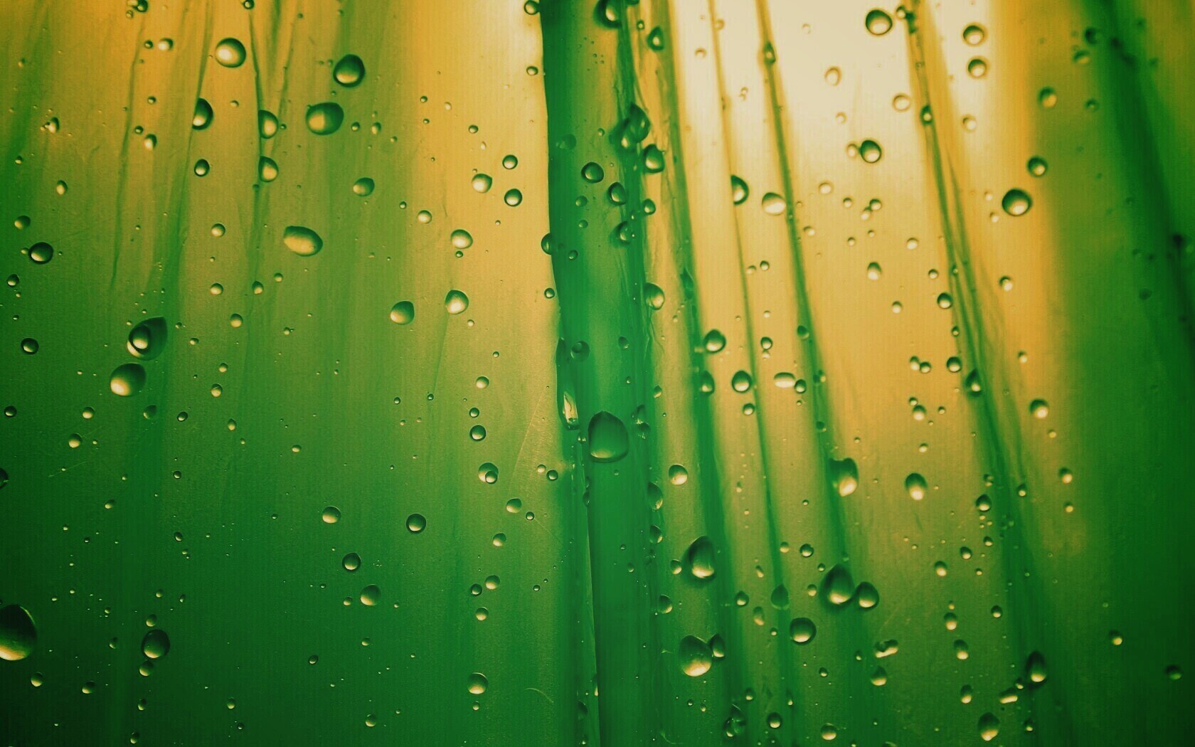 Капли на зеленом пластике обои