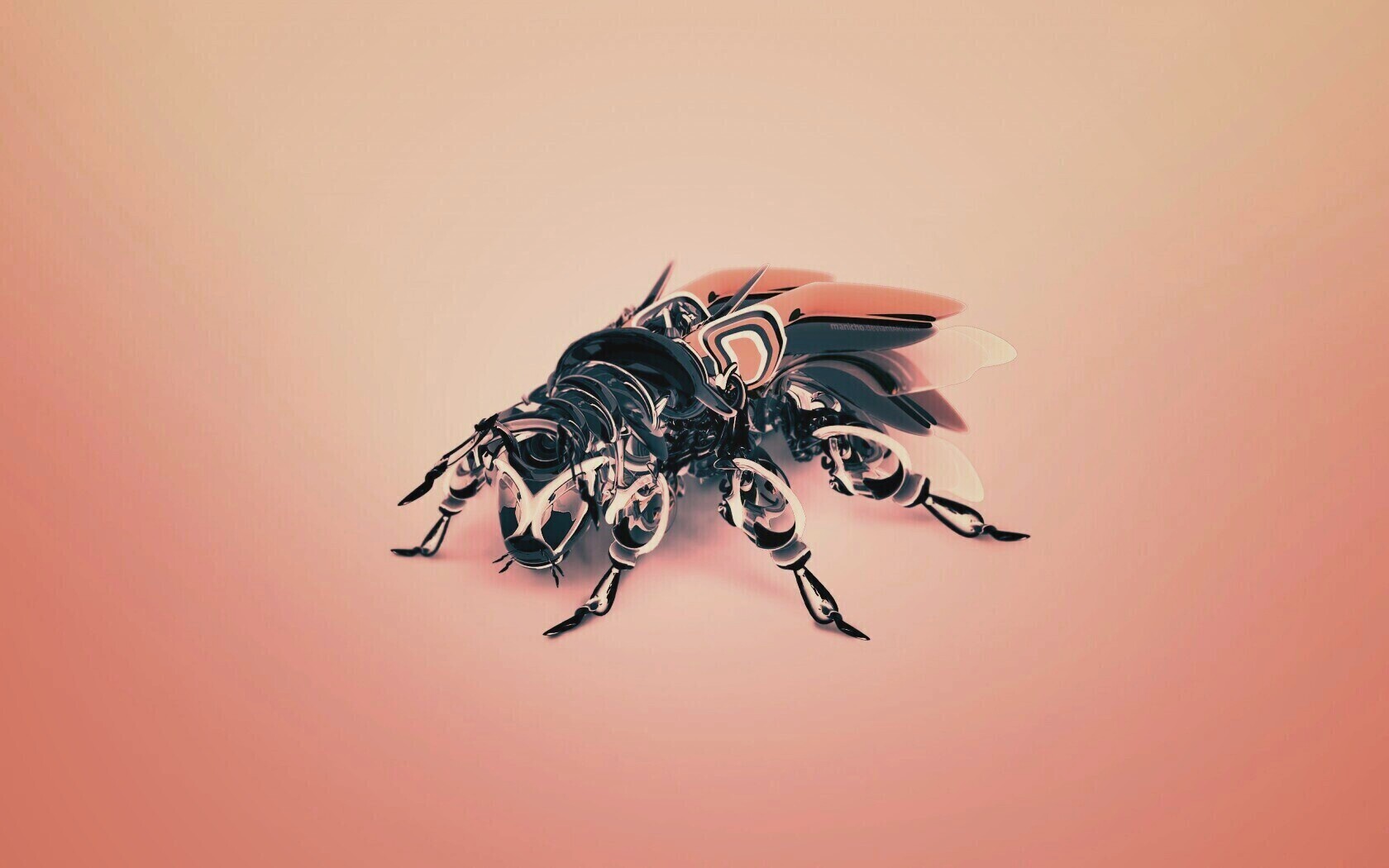 Кибер муха обои