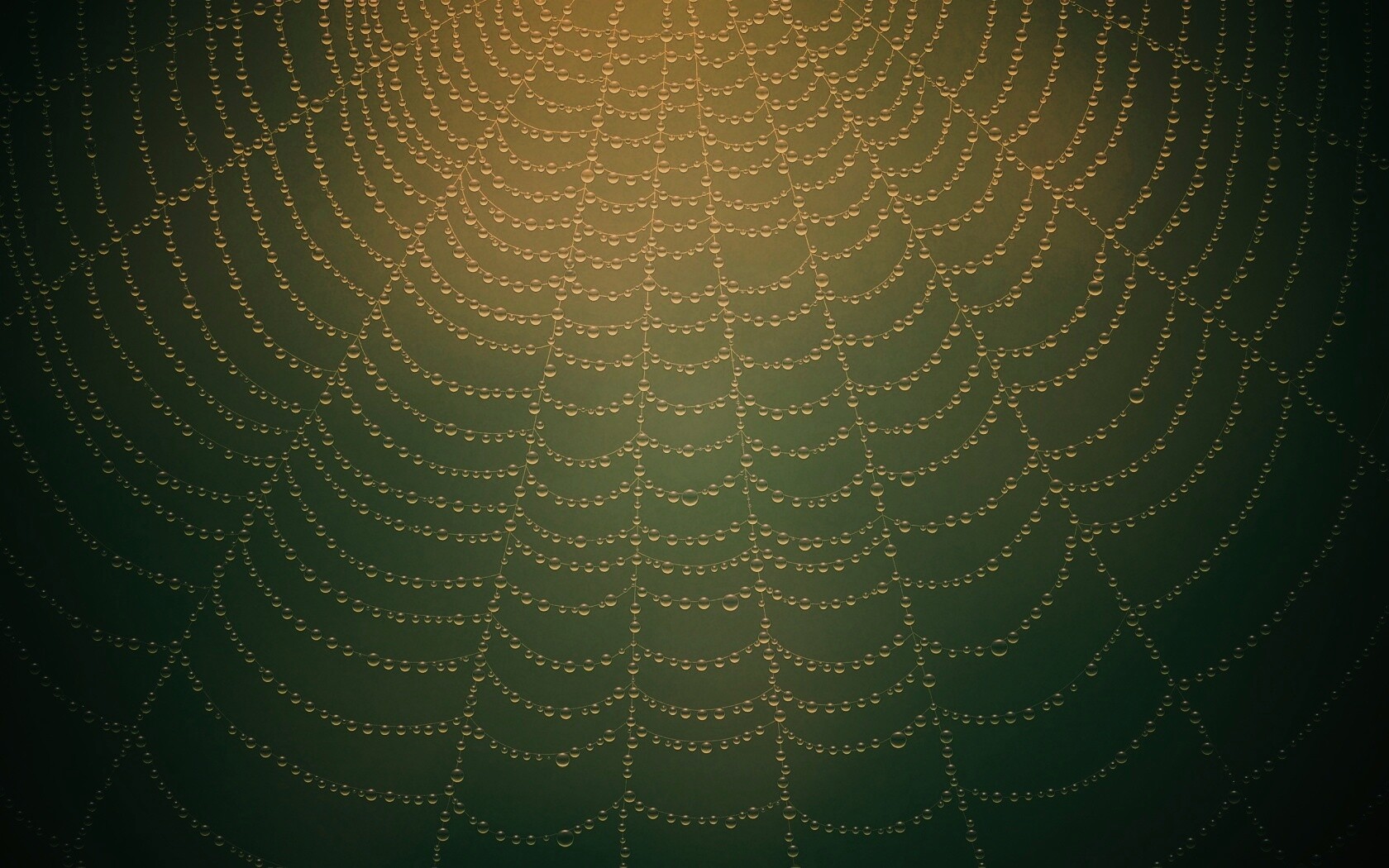 Роса на паутине обои