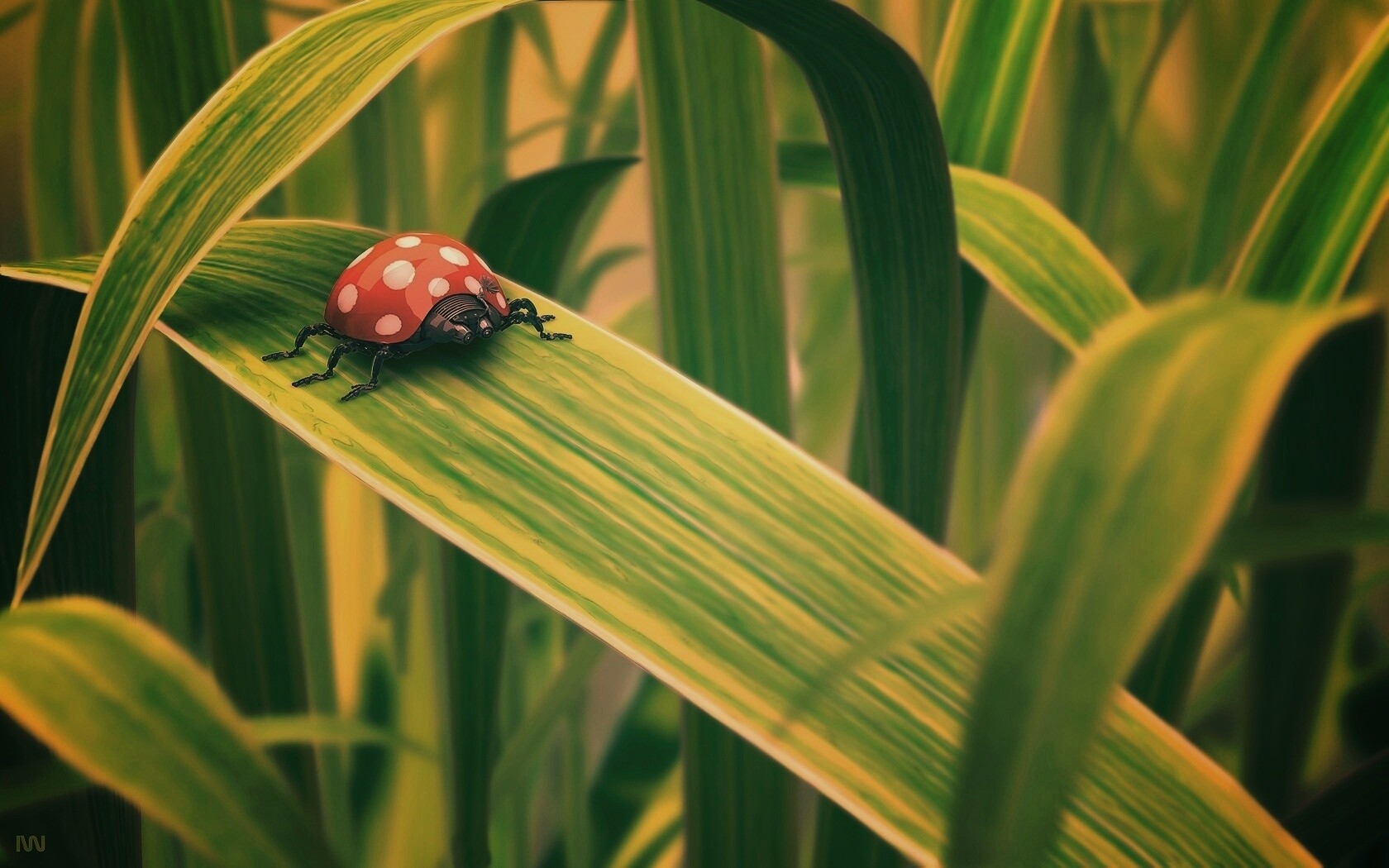 Милая божья коровка робот обои