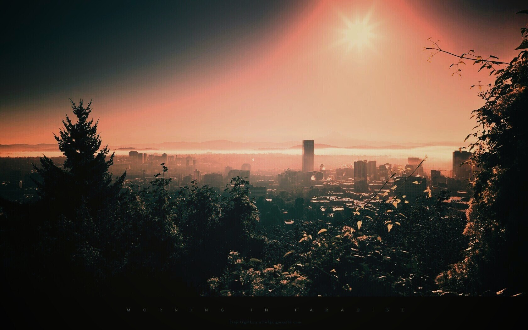 Утро в раю обои