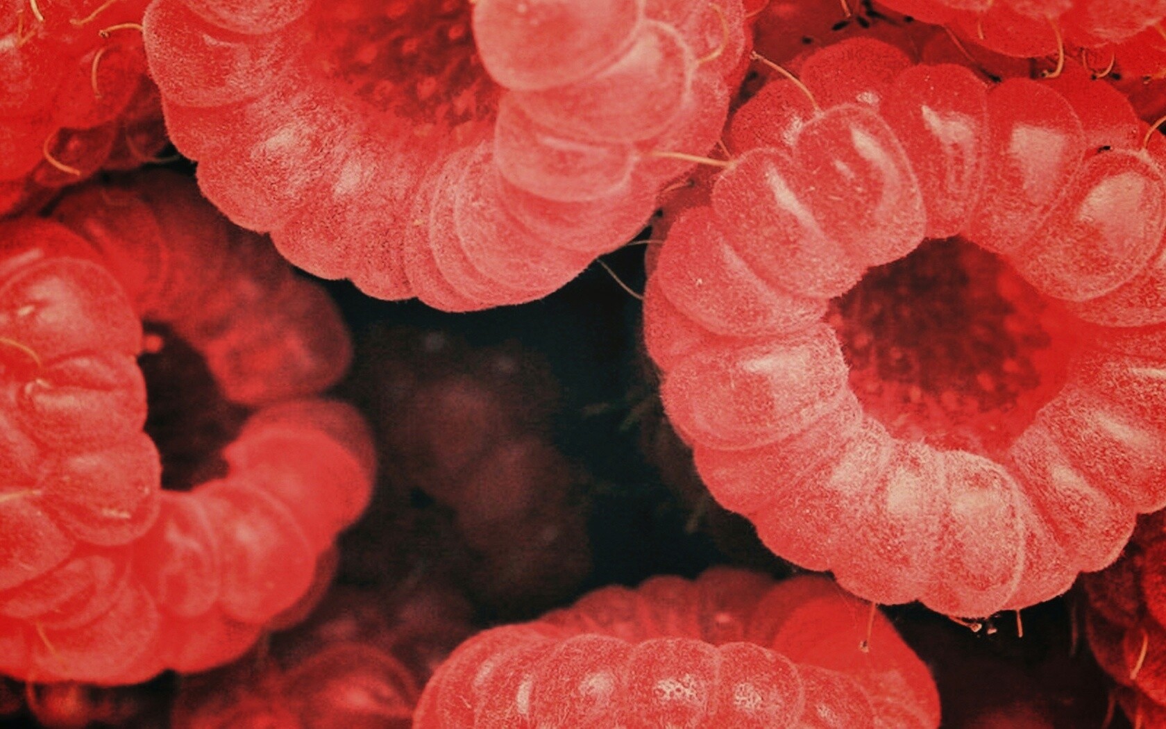 Малина обои