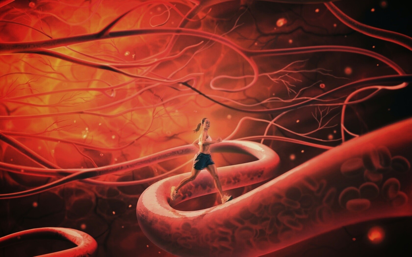 Бег крови обои