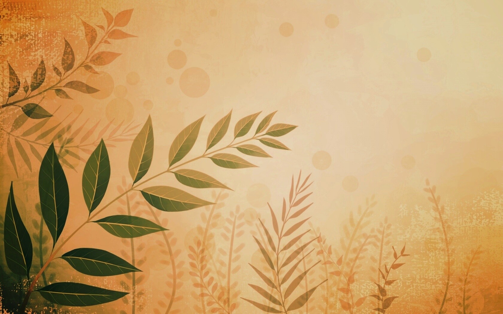 Веточка молодых листьев обои