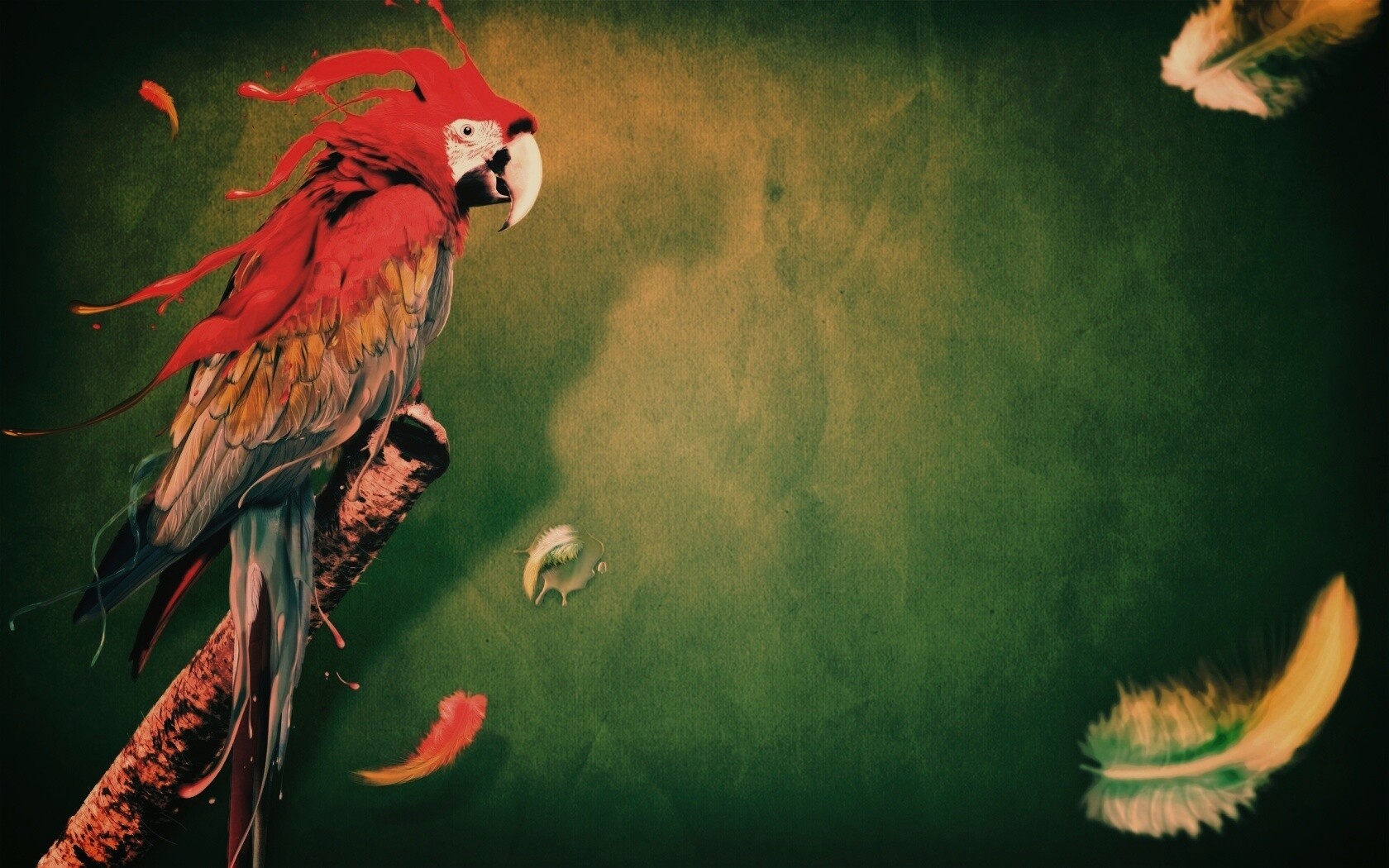 Попугай на ветке обои