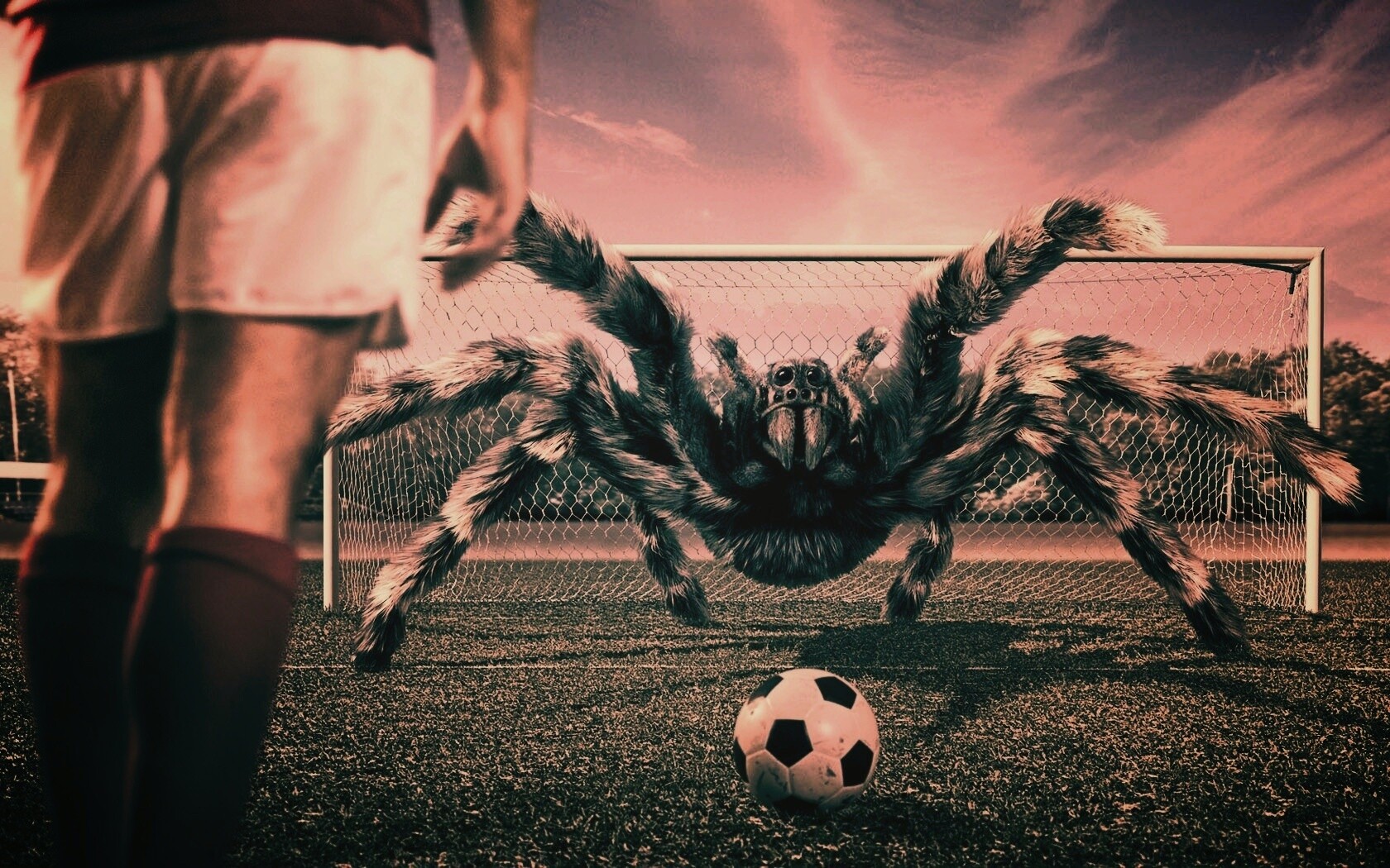 Вратарь обои