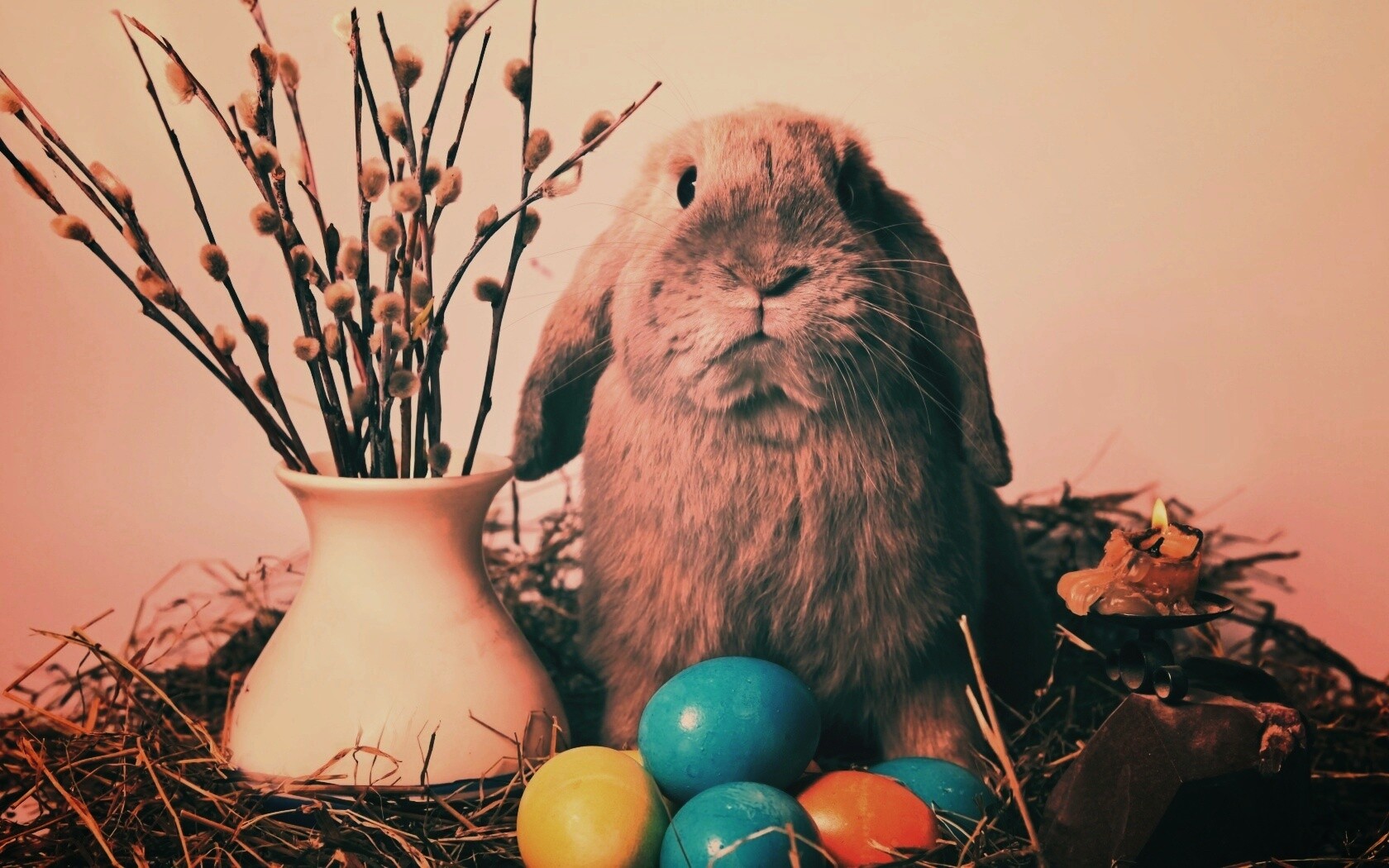 Пасхальный кролик обои