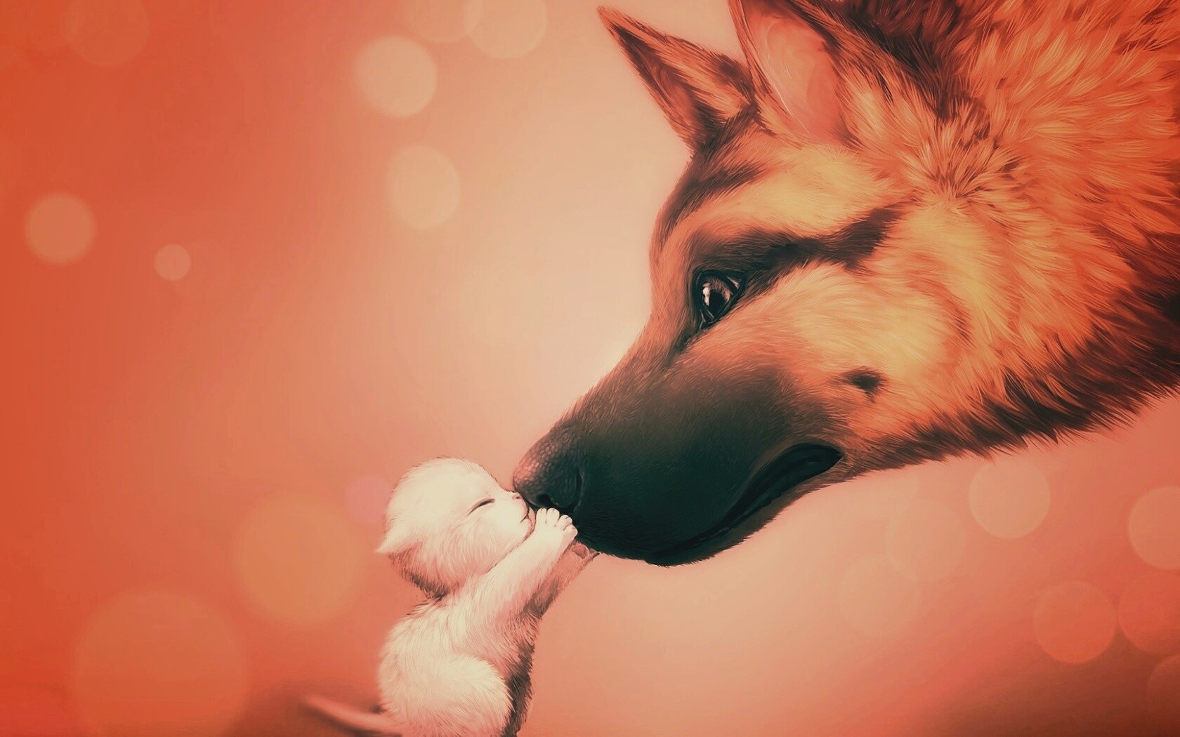 Овчарка и котенок обои