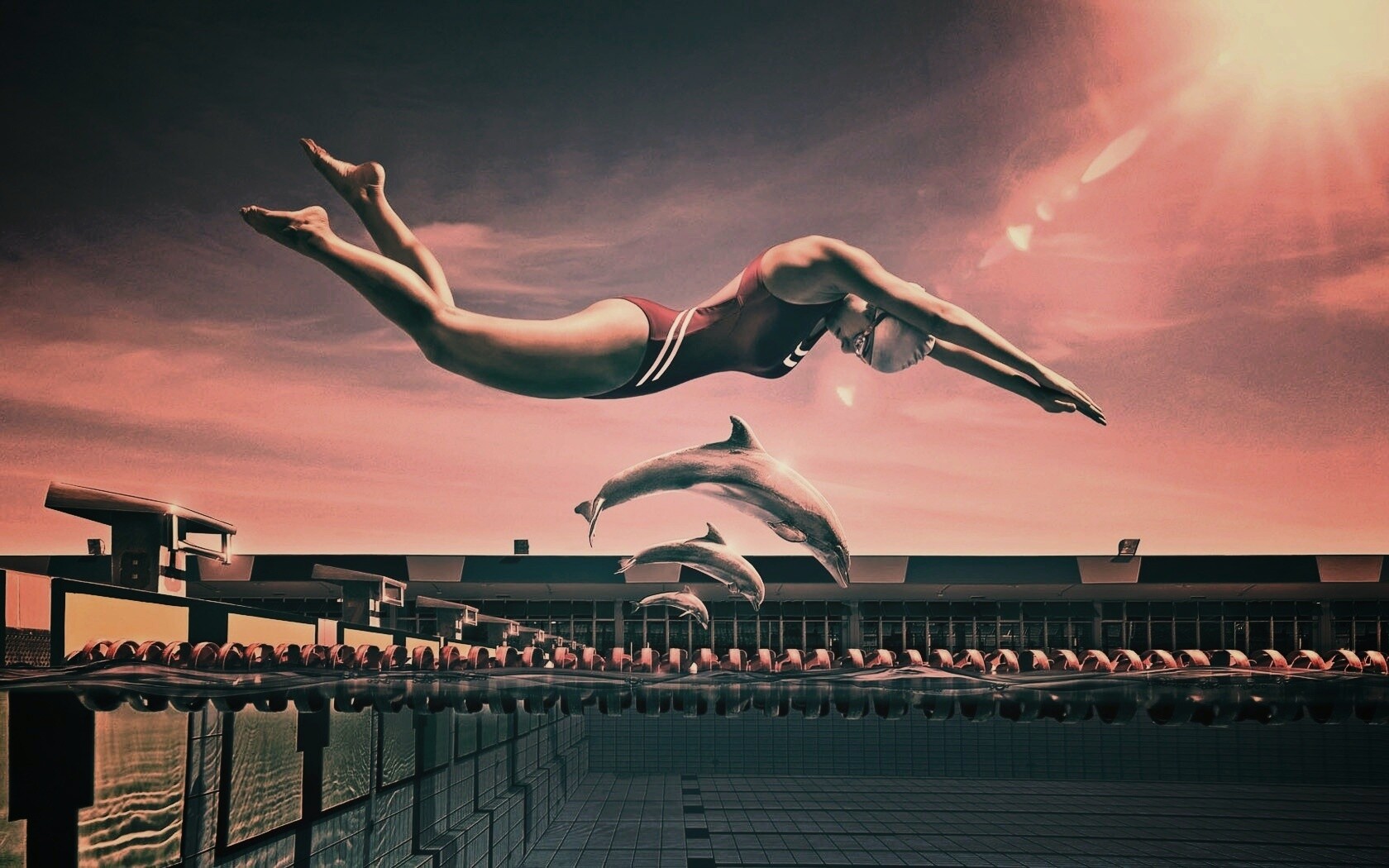 Соревнование обои