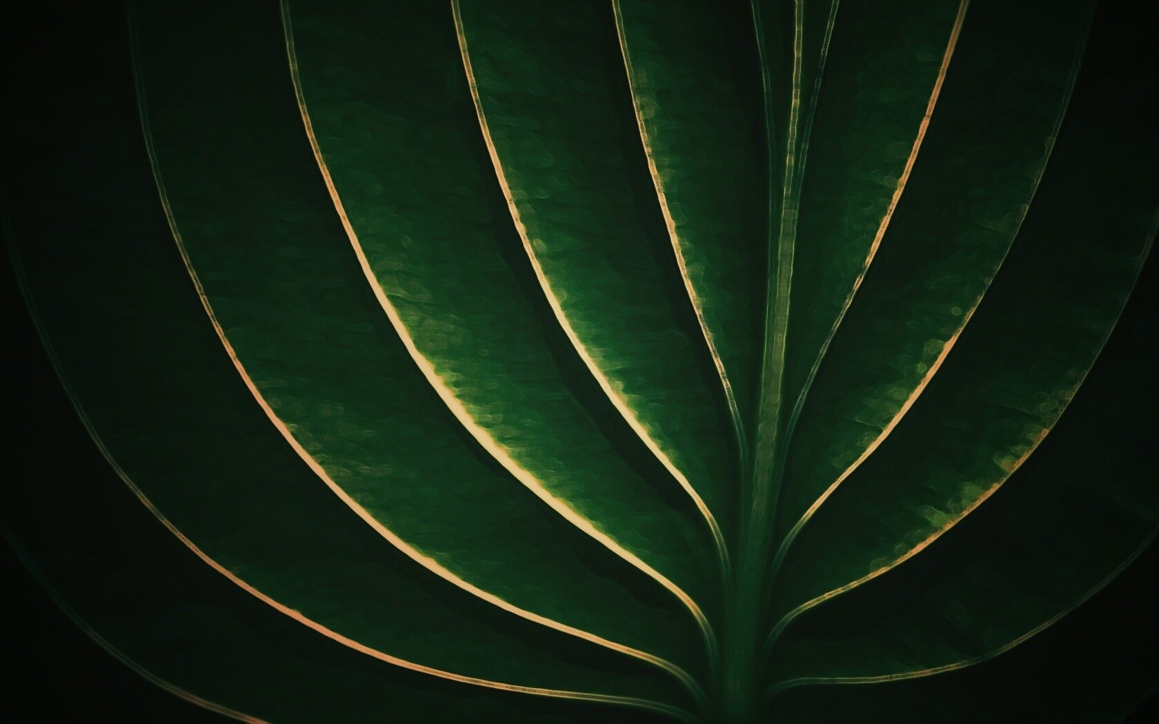 Неоновый лист обои