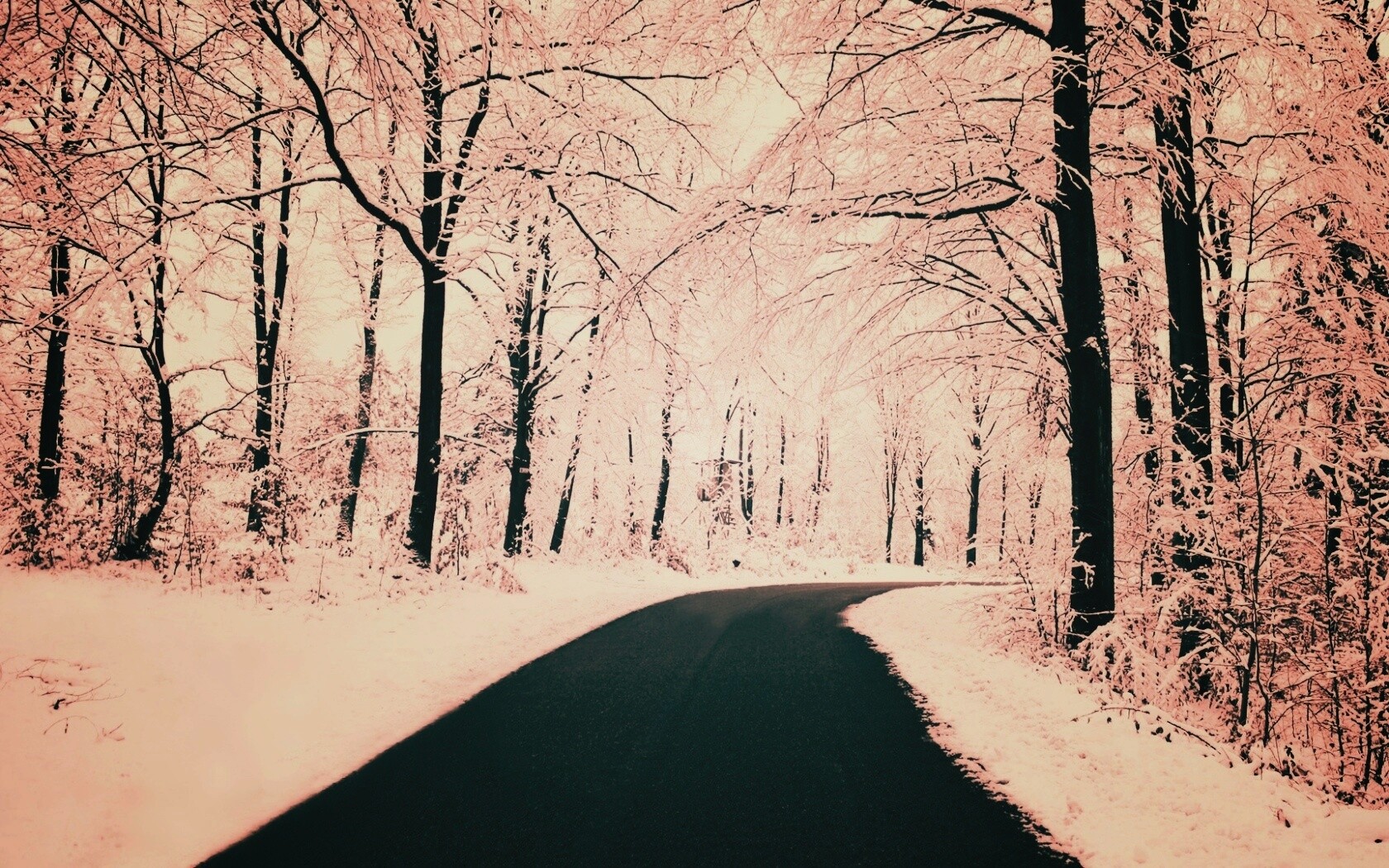 Дорога в зимнем лесу обои