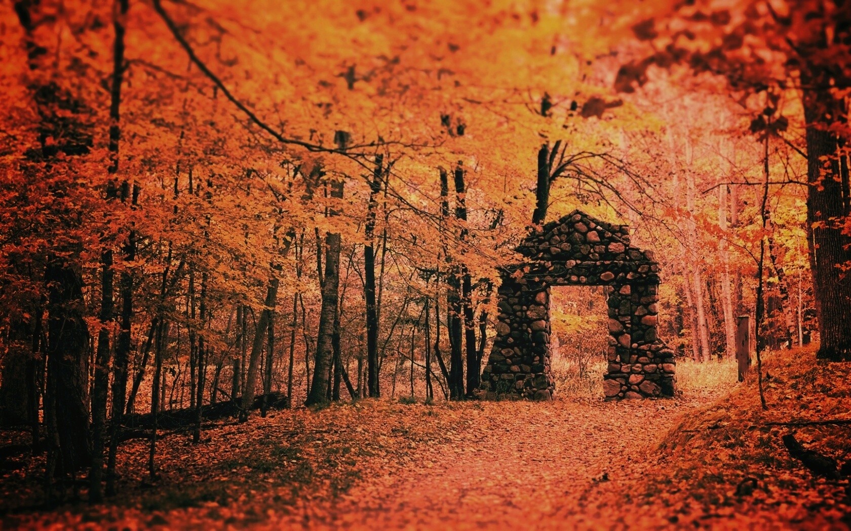 Каменная арка в осеннем лесу обои