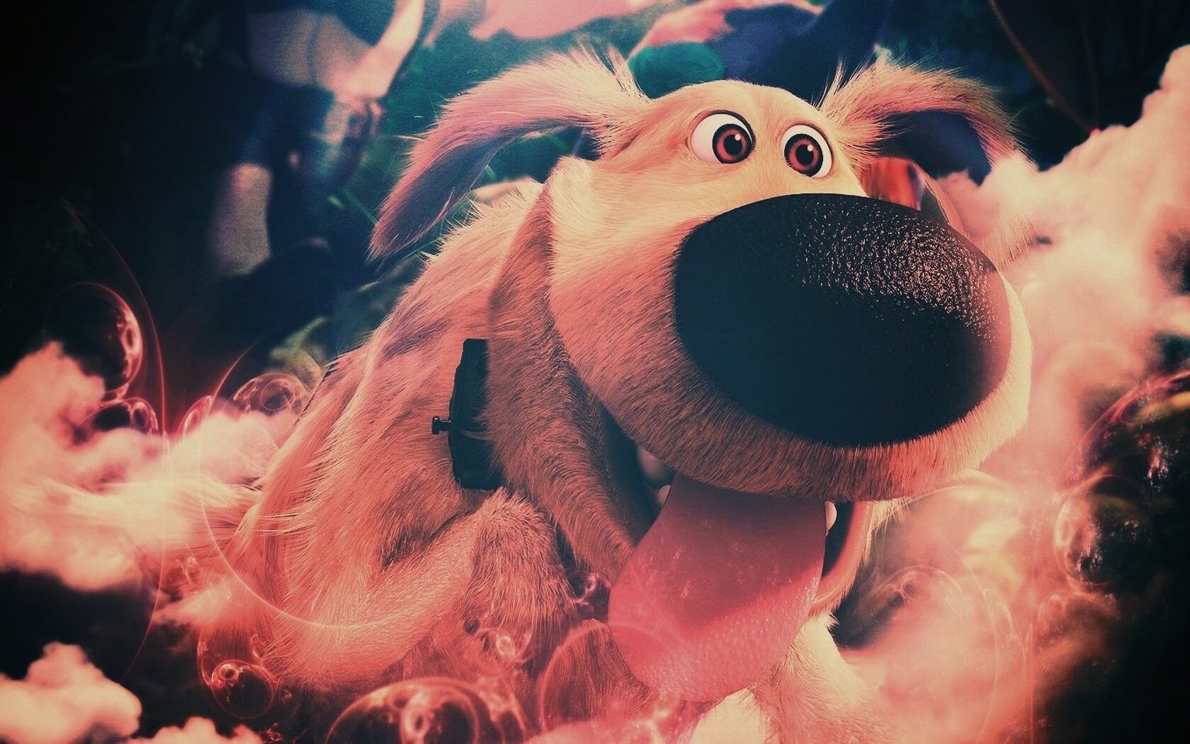 Собака из мультфильма Up обои