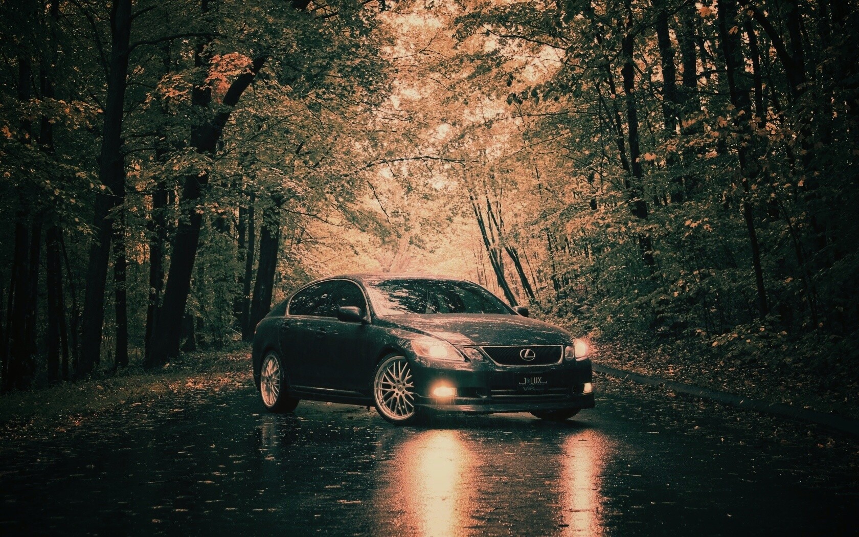 Лексус на лесной дороге обои