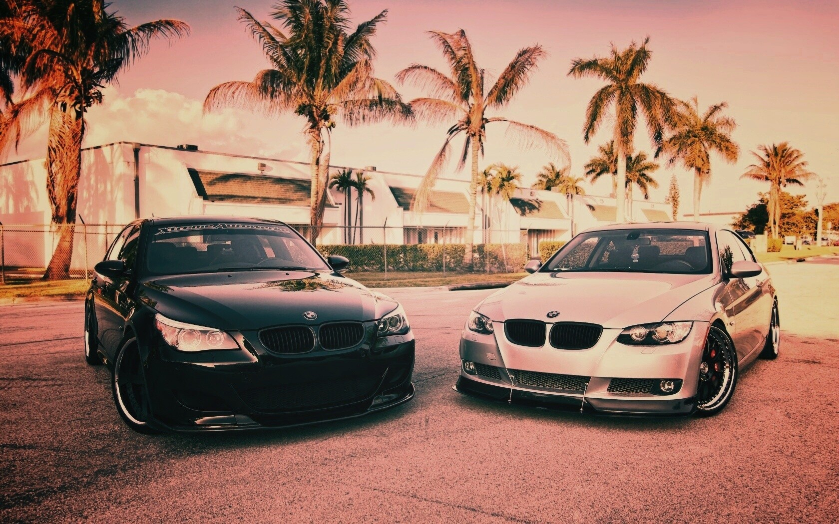 Две БМВ обои