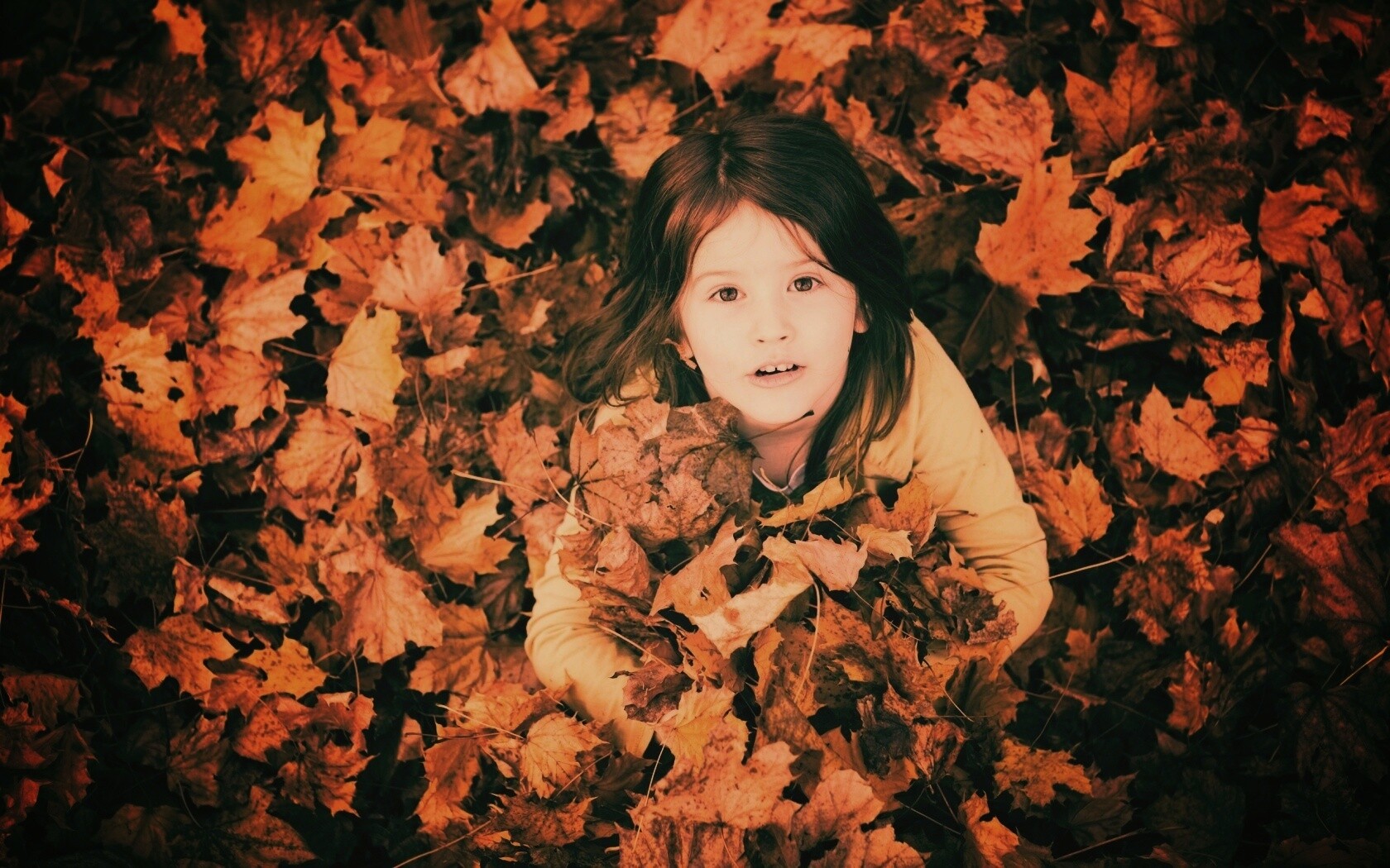 Девочка и осень обои