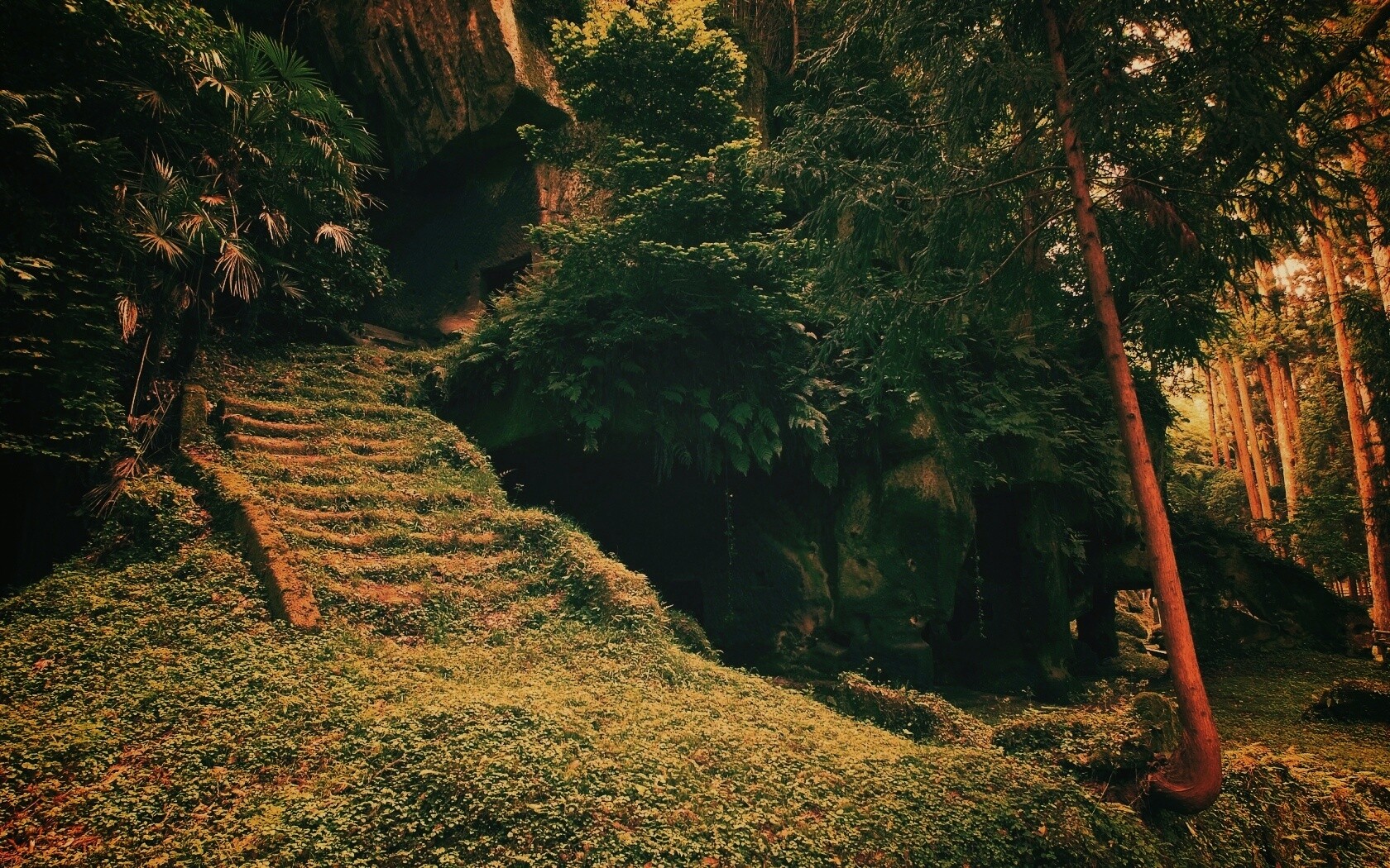 Старинный лесной храм обои